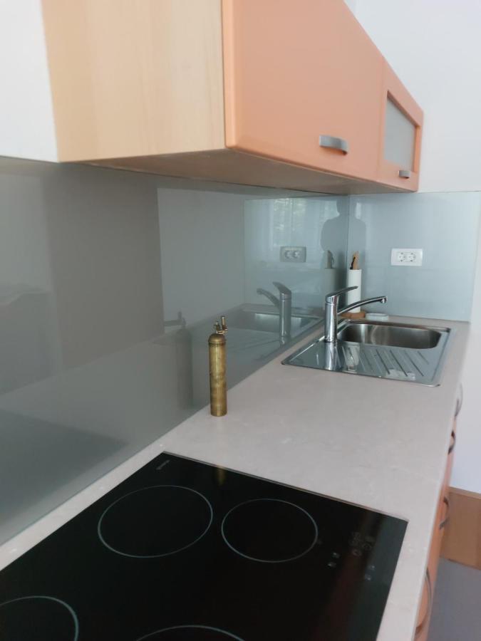 Apartma Sava-Stol Jesenice Luaran gambar